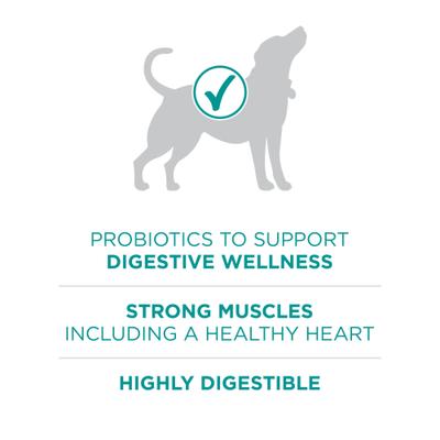 +Plus Adult Digestive Health Formula Dry Dog Food, 31.1-lb bag