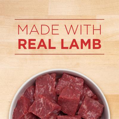 +Plus Classic Ground Healthy Puppy Lamb & Long Grain Rice Entree Canned Dog Food, 13-oz, case of 12