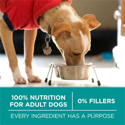 +Plus Adult Digestive Health Formula Dry Dog Food, 31.1-lb bag