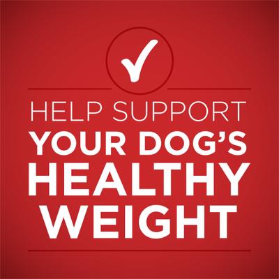 +Plus Adult Tender Cuts in Gravy Healthy Weight Lamb & Brown Rice Entree Canned Dog Food, 13-oz, case of 12