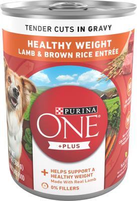 +Plus Classic Ground Healthy Puppy Lamb & Long Grain Rice Entree Canned Dog Food, 13-oz, case of 12