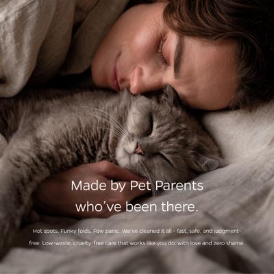 Pet WiPees Antiseptic Dog & Cat Grooming Wipes, 100 count