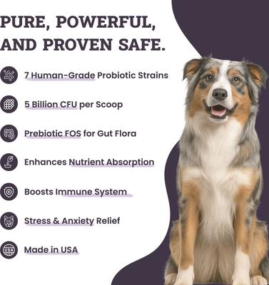 Digestive Probiotic & Prebiotic Blend Powder Supplement for Dogs, 3.8-oz jar