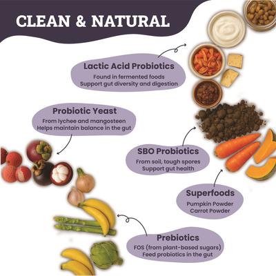 Digestive Probiotic & Prebiotic Blend Powder Supplement for Cats, 3.8-oz jar