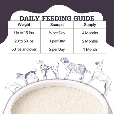 Digestive Probiotic & Prebiotic Blend Powder Supplement for Dogs, 3.8-oz jar
