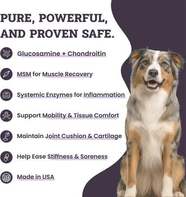 Joint & Hip Daily Powder Supplement for Dogs, 3.8-oz jar