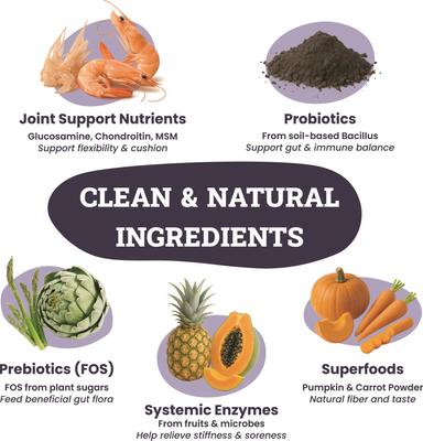 Joint & Hip Daily Powder Supplement for Dogs, 3.8-oz jar