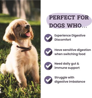 Digestive Enzyme Support Formula Powder Supplement for Dogs, 3.8-oz jar