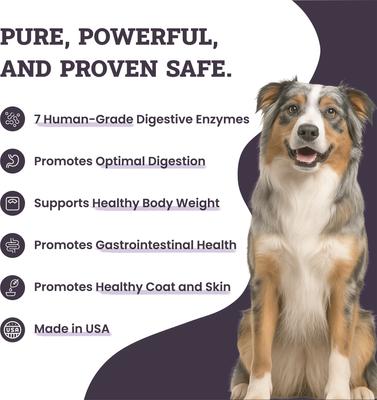 Digestive Enzyme Support Formula Powder Supplement for Dogs, 3.8-oz jar