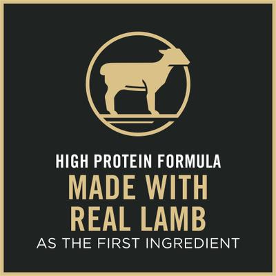 Adult Sensitive Skin & Stomach Lamb & Rice Formula Dry Cat Food, 3.5-lb bag