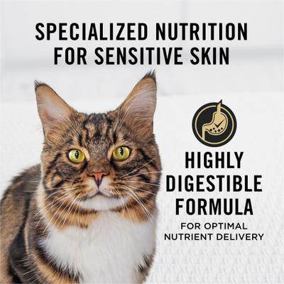 Adult Sensitive Skin & Stomach Lamb & Rice Formula Dry Cat Food, 3.5-lb bag