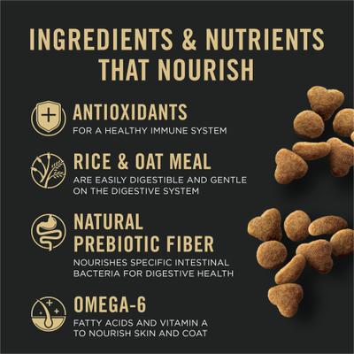 Adult Sensitive Skin & Stomach Lamb & Rice Formula Dry Cat Food, 3.5-lb bag