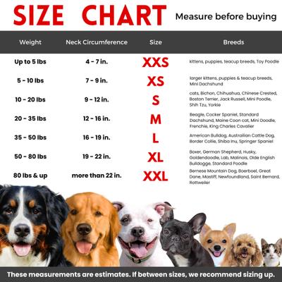 Stuffed Not Inflatable Dog & Cat Recovery Collar, Cheetah, Medium