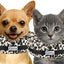 Stuffed Not Inflatable Dog & Cat Recovery Collar, Cheetah, Medium