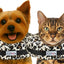 Stuffed Not Inflatable Dog & Cat Recovery Collar, Cheetah, Medium