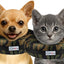 Stuffed Not Inflatable Dog & Cat Recovery Collar, Camo, Small