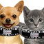 Stuffed Not Inflatable Dog & Cat Recovery Collar, Zebra, Large
