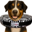 Stuffed Not Inflatable Dog & Cat Recovery Collar, Zebra, Large