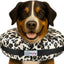 Stuffed Not Inflatable Dog & Cat Recovery Collar, Cheetah, Medium