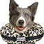 Stuffed Not Inflatable Dog & Cat Recovery Collar, Cheetah, Medium