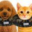 Stuffed Not Inflatable Dog & Cat Recovery Collar, Camo, Small