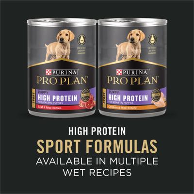 Sport Development Large Breed High-Protein 30/18 Chicken & Rice Formula Puppy Food, 18-lb bag