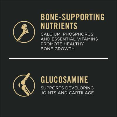 Sport Development Large Breed High-Protein 30/18 Chicken & Rice Formula Puppy Food, 18-lb bag