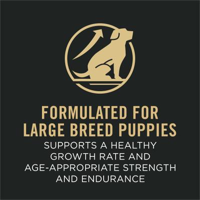 Sport Development Large Breed High-Protein 30/18 Chicken & Rice Formula Puppy Food, 18-lb bag