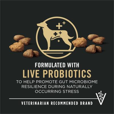 Adult Shredded Blend Salmon & Rice Formula Dry Dog Food, 5-lb bag