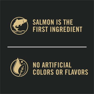 Adult Shredded Blend Salmon & Rice Formula Dry Dog Food, 5-lb bag