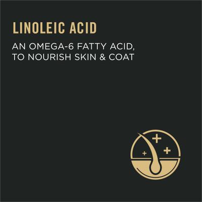 Focus Adult Urinary Tract Health Formula Dry Cat Food, 22-lb bag