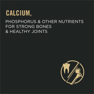 Focus Adult Urinary Tract Health Formula Dry Cat Food, 22-lb bag