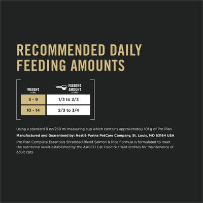 Adult Salmon & Rice Formula Dry Cat Food, 7-lb bag