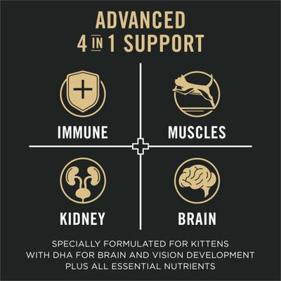 Vital Systems Chicken & Egg Formula 4-in-1 Dry Kitten Food, 3-lb bag