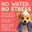 Watermelon Waterless Dog & Cat Shampoo, 7.4-fl oz bottle