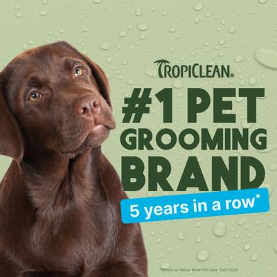 Dual Action Ear Cleaner for Dogs, 4-fl oz bottle