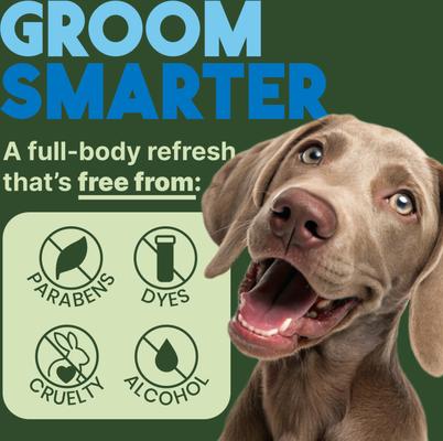 Wax, Debris, & Odor Remover Ear Cleaning Wipes for Dog & Cats, 50 count