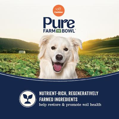 Pure Farm To Bowl Cage-Free Duck & Sweet Potato Recipe Dry Dog Food, 12-lb bag