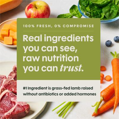 FreshRaw Meals Grain-Free Grass-Fed Lamb Recipe Dog Food, 16-oz, case of 6