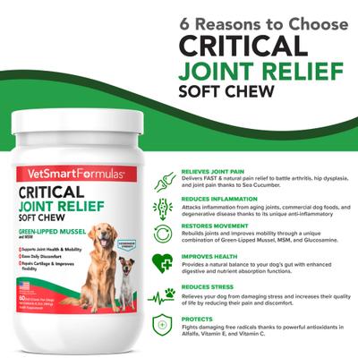 Critical Joint Relief Soft Chew for Dogs, 60 count