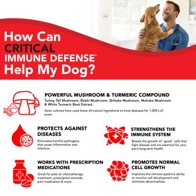 Mushroom & Turmeric Powder Critical Immune Defense for Dogs & Cats, 19-oz