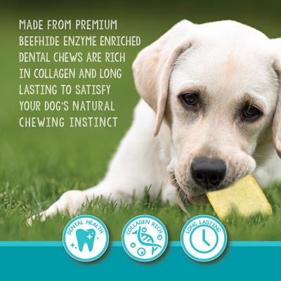 Enzyme Enriched High-Protein Beef Adult Dental Medium & Large Dog Treats, 12.8-oz bag