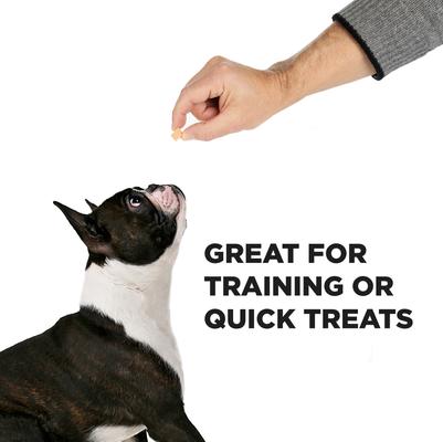 Hive Bites Dental Dog Treats, 12-oz bag