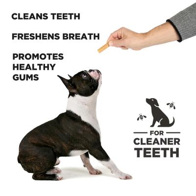 Hive Dental Stick Dog Chew Treat, Small, 12-oz bag