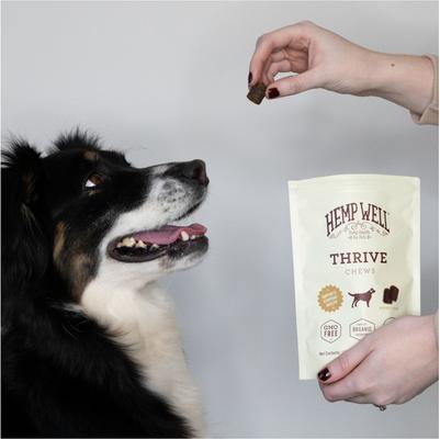 Hemp Thrive Soft Chew Dog Supplement, 8 count