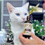 Hemp Thrive Liquid Cat & Dog Supplement, 2-fl oz bottle