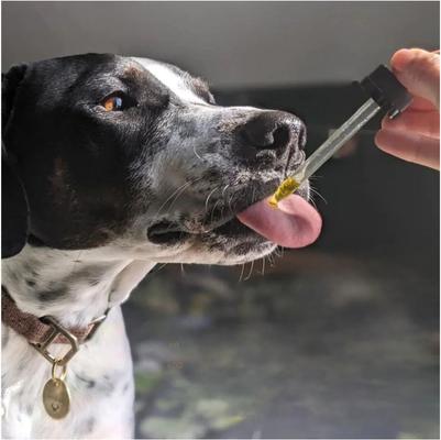 Relief Broad Spectrum Extract Oil Plus Supplement for Dogs, 2-fl oz bottle