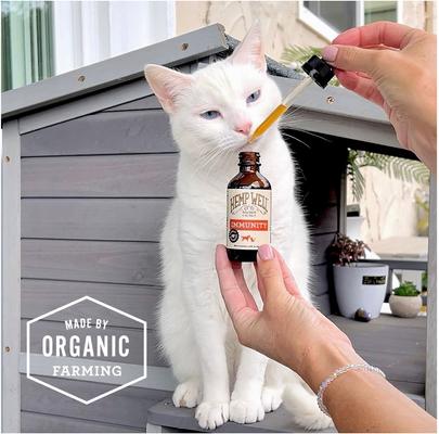 Immune Liquid Supplement for Dogs & Cat, 2-fl oz bottle