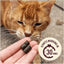 Calming Soft Chew Supplement for Cats, 60 count