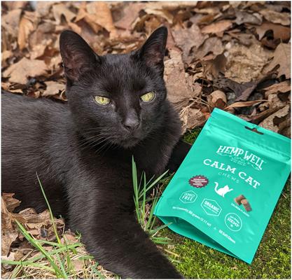 Calming Soft Chew Supplement for Cats, 60 count